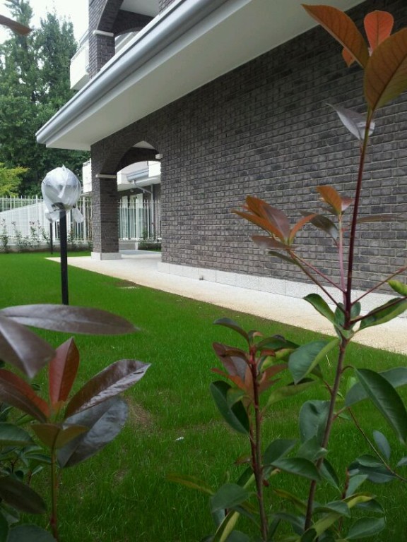 Кирпич SELMO SUPERIOR LINE, Milano, 250x120x55, S.Anselmo